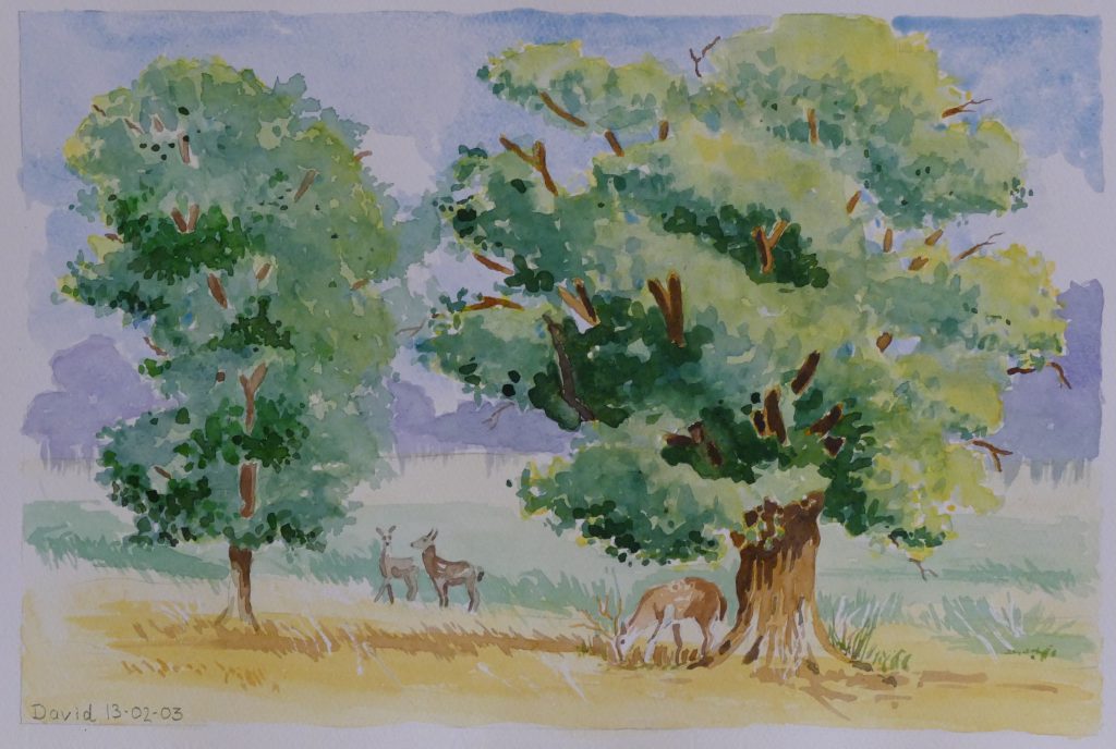 Trees and animals