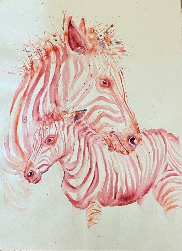 Zebra 