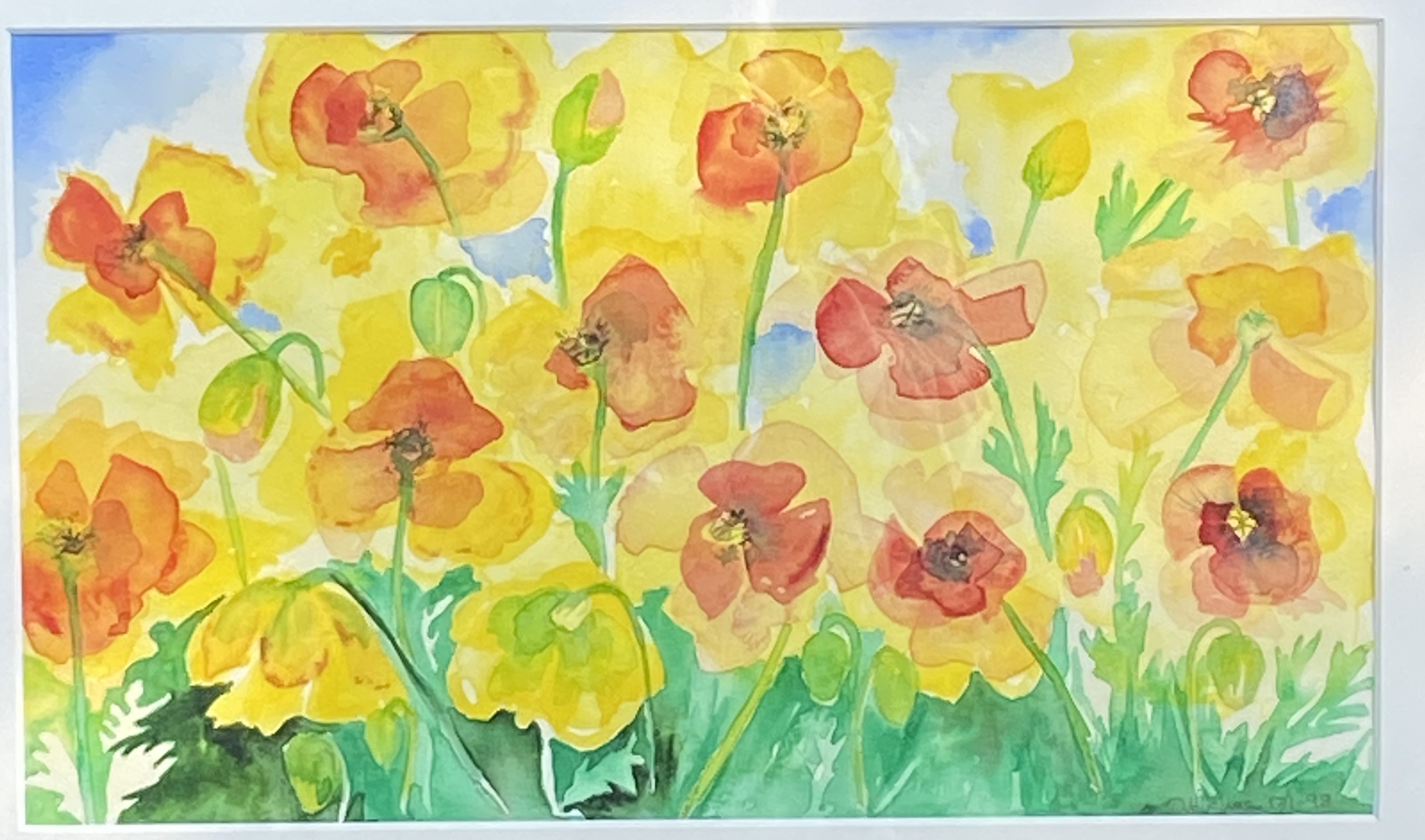 Yellow poppies